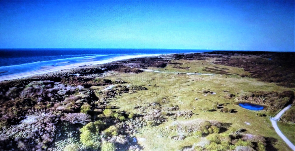 Dünenlandschaft u. Strand in Oostkapelle